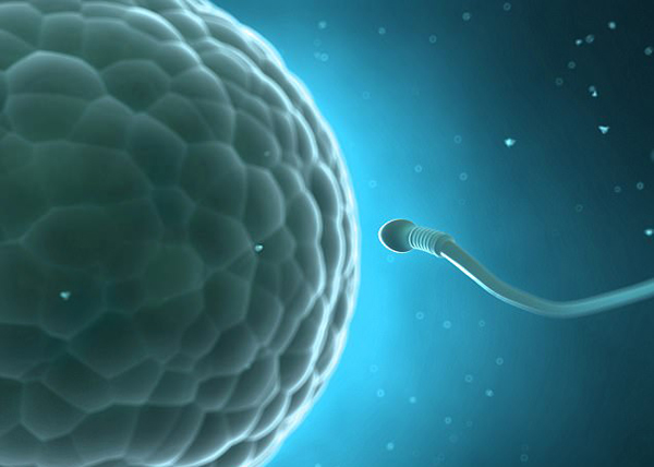 荷蘭捐精丑聞:一男子在多家診所捐精 “繁衍”102個(gè)孩子