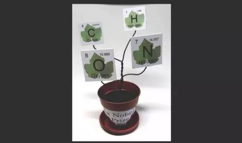 2017搞笑諾貝爾獎揭曉啦！看看今年奇葩研究都有啥