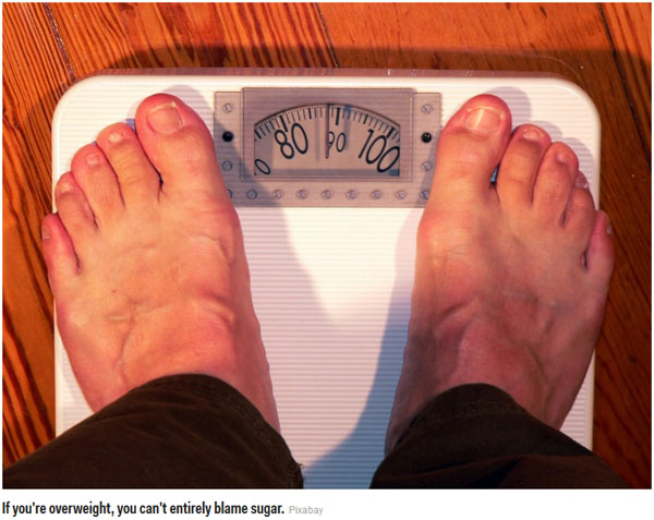 不敢吃糖？科學家揭示人們對糖的8個誤解