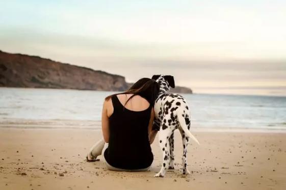 老外在中國(guó):忠犬相伴