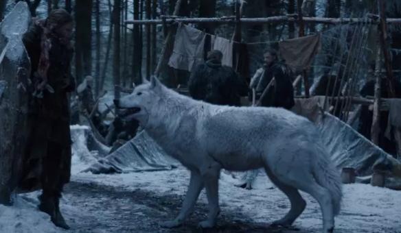 萬萬沒想到！七個讓你驚呼“厲害了”的冷知識