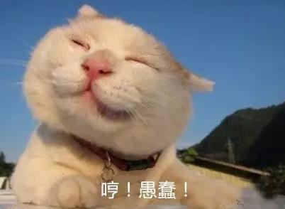 萬萬沒想到！七個讓你驚呼“厲害了”的冷知識