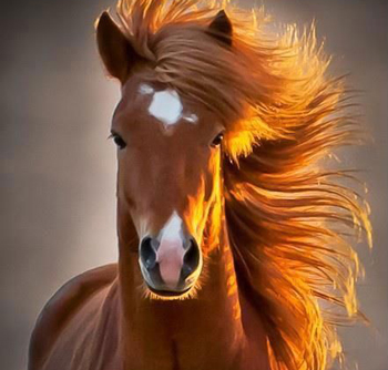 來自你身體的一封信：不許你再欺負(fù)我！