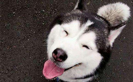 來自你身體的一封信：不許你再欺負(fù)我！