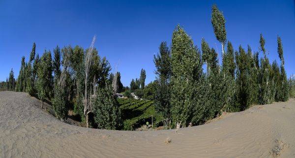 中國(guó)打造“綠色長(zhǎng)城”：沙漠里種樹(shù)的驚人壯舉