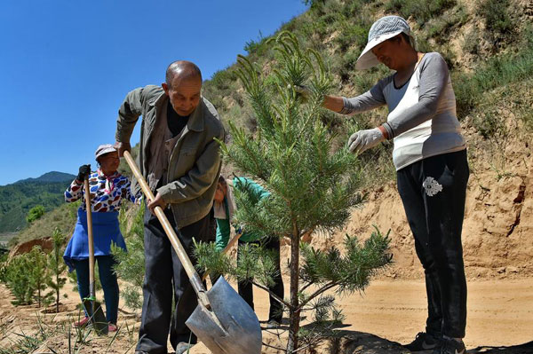 中國(guó)打造“綠色長(zhǎng)城”：沙漠里種樹(shù)的驚人壯舉
