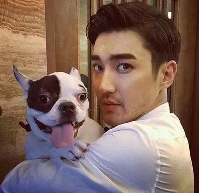 明星愛犬咬傷鄰居間接致其死亡，寵物不拴繩害人也害狗