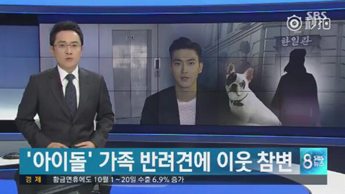 明星愛犬咬傷鄰居間接致其死亡，寵物不拴繩害人也害狗