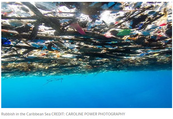 這照片讓人震驚！加勒比海被塑料垃圾“活埋”