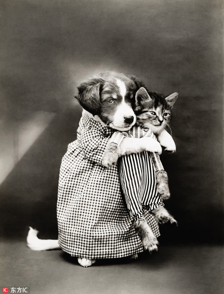 萌物過家家！一個世紀前的攝影家教你如何正確吸貓吸狗