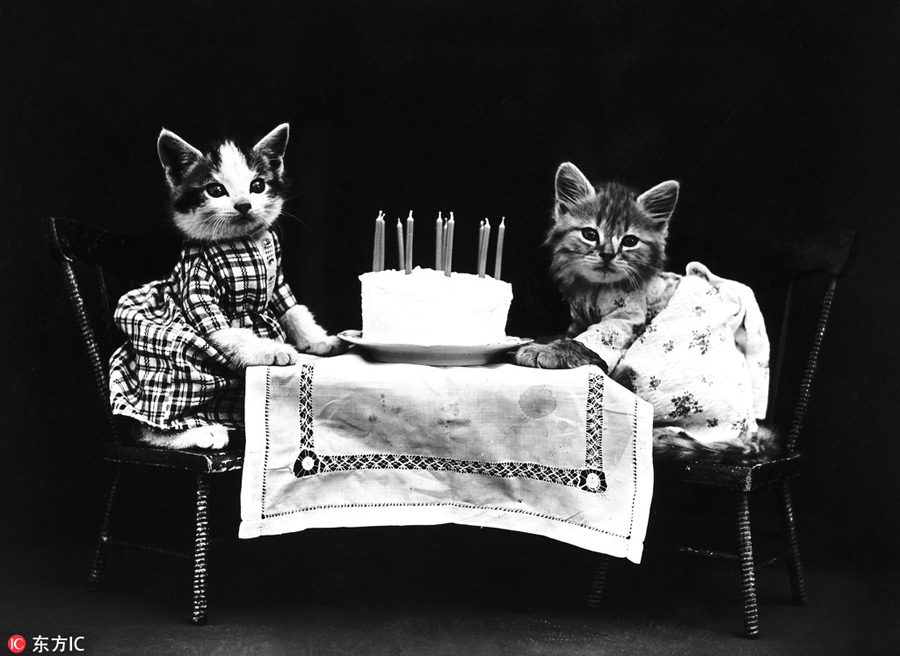 萌物過(guò)家家！一個(gè)世紀(jì)前的攝影家教你如何正確吸貓吸狗