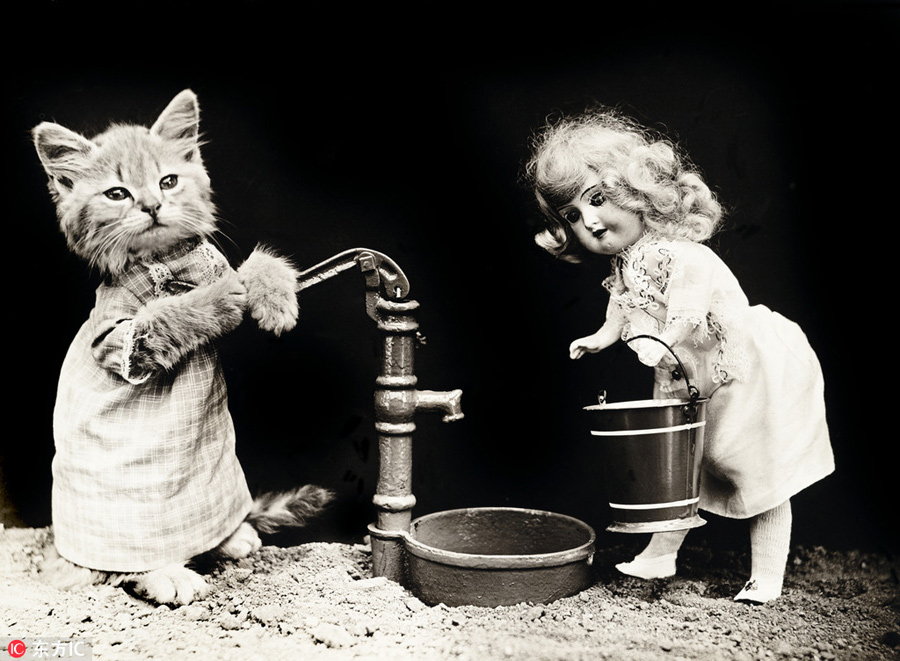 萌物過家家！一個世紀(jì)前的攝影家教你如何正確吸貓吸狗