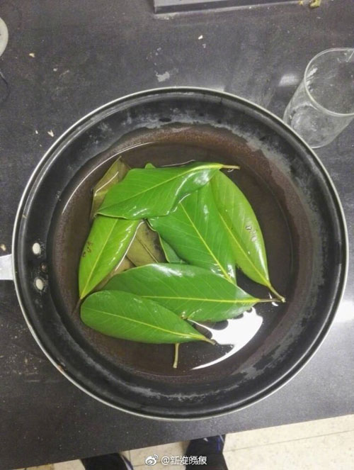 6000片樹(shù)葉做出美裙 原來(lái)他們是這么做到的！