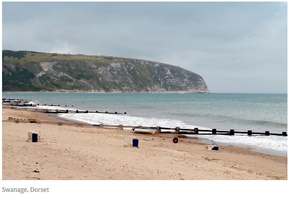 考古新發(fā)現(xiàn)：人類的祖先是老鼠