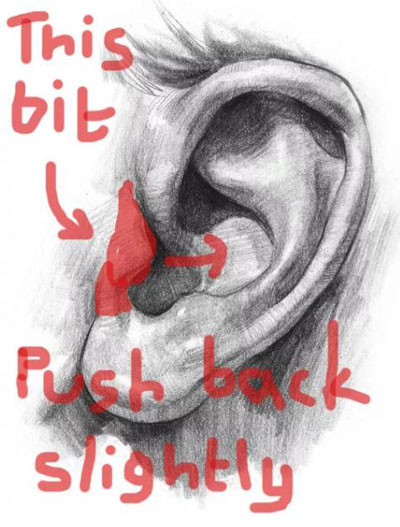 10個(gè)關(guān)于身體的小秘密，為什么我現(xiàn)在才知道！