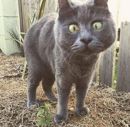 那些年我們學(xué)英語(yǔ)鬧過(guò)的笑話 敢不敢說(shuō)出來(lái)讓大家樂(lè)一樂(lè)