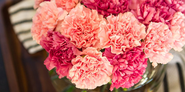 10種鮮花的英文名及含義，蘭花的竟然這么污，不忍直視