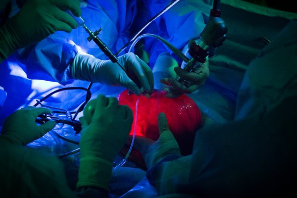 雙語盤點(diǎn)：2017年，我們了解到哪些科學(xué)新知？