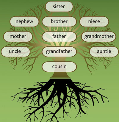 這些“遠(yuǎn)房親戚”用英語怎么說，看完好方……