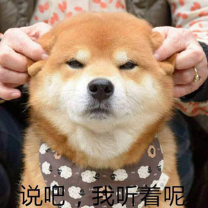 如何高級又委婉地表達“你很蠢”？