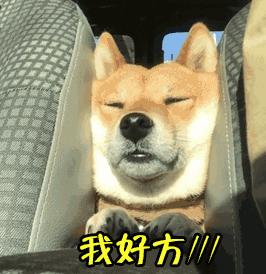 支付寶年度賬單挖了個(gè)大坑，你也不慎掉進(jìn)去了嗎？