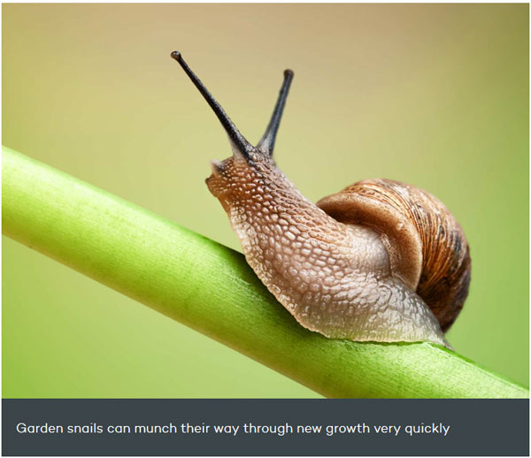 關(guān)于動(dòng)物的14個(gè)誤解 個(gè)個(gè)讓你驚掉下巴