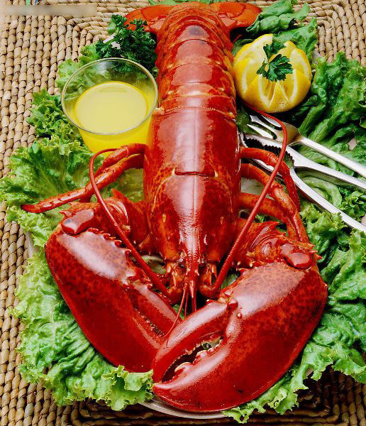 CNN評出世界上最好吃的50種美食，第一名居然是………（組圖）