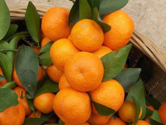 中國(guó)過年吃的吉利食物 你知道都有什么寓意嗎？