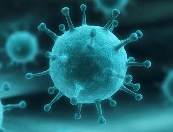 警報(bào)！警報(bào)！流感席卷全球，你中招了么？