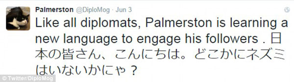 貓生艱難！英國外交部捕鼠官被“制裁”，或因工作效率變低
