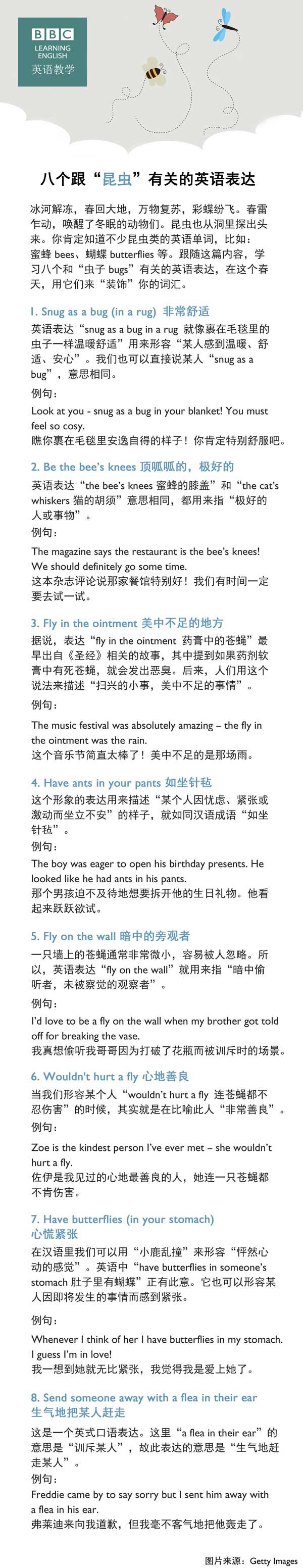 八個跟“昆蟲”有關(guān)的英語表達