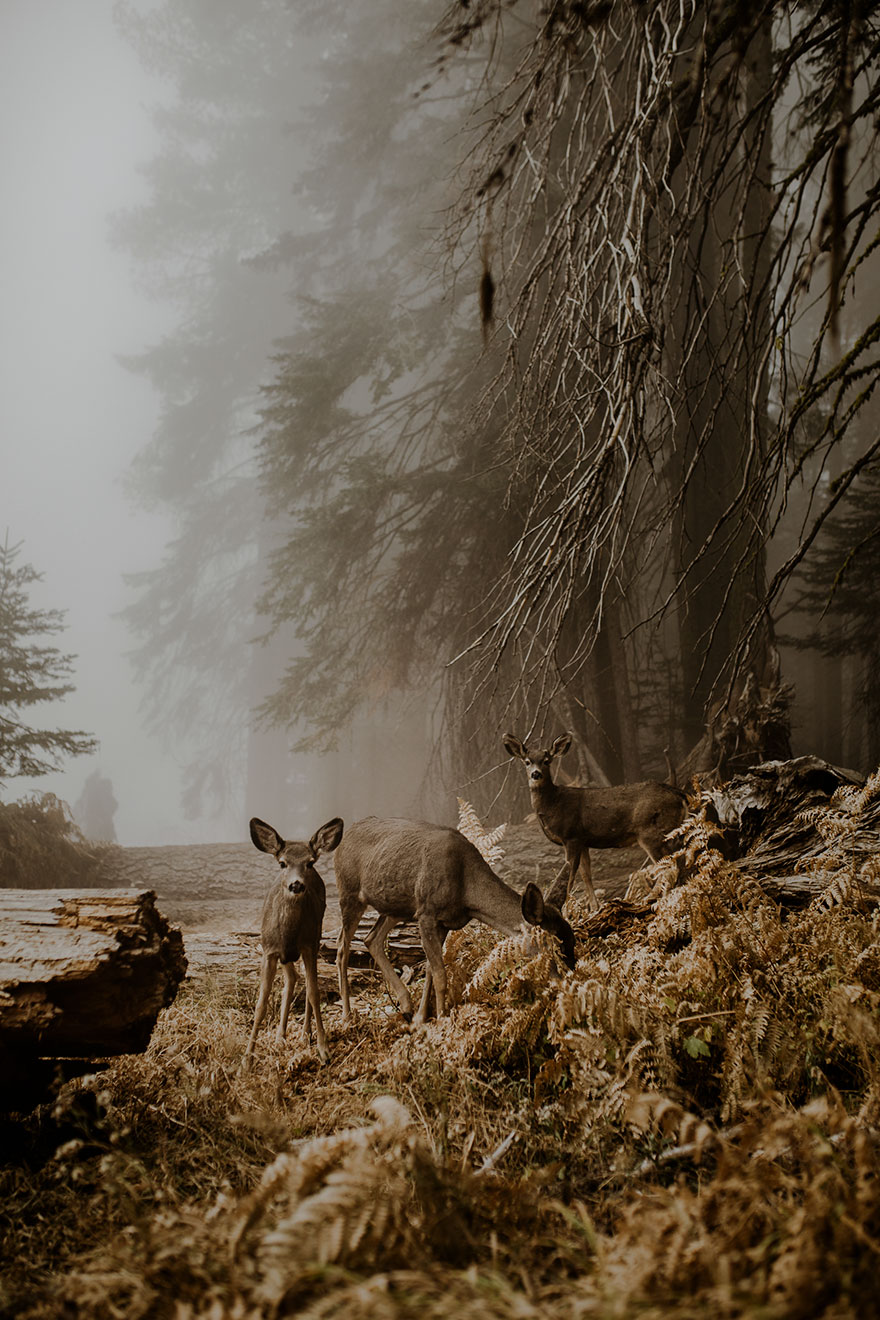 2018索尼世界攝影大賽獲獎作品欣賞（組圖）