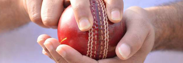 牛津熱詞：誰咬了碧昂絲？