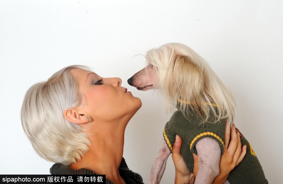 人不如狗系列！走進(jìn)全世界最奢華的狗狗生活（組圖）