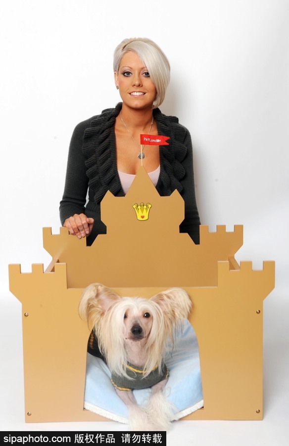 人不如狗系列！走進(jìn)全世界最奢華的狗狗生活（組圖）