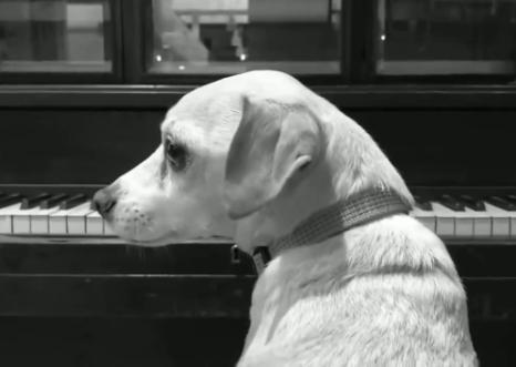 被劇透逼瘋的劇組：漫威不給演員看劇本，《權游》拍假結局