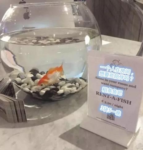 網(wǎng)友曬出貼心的酒店服務(wù)，這些設(shè)計(jì)也太人性化了吧