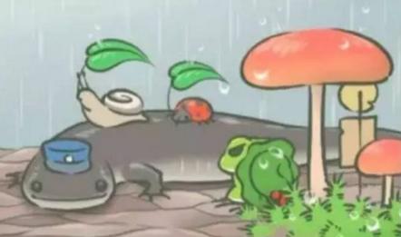 老外在中國:養(yǎng)蛙是一種怎樣的體驗