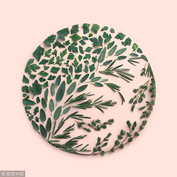 藝術(shù)家呈現(xiàn)“碎片之美”（組圖）