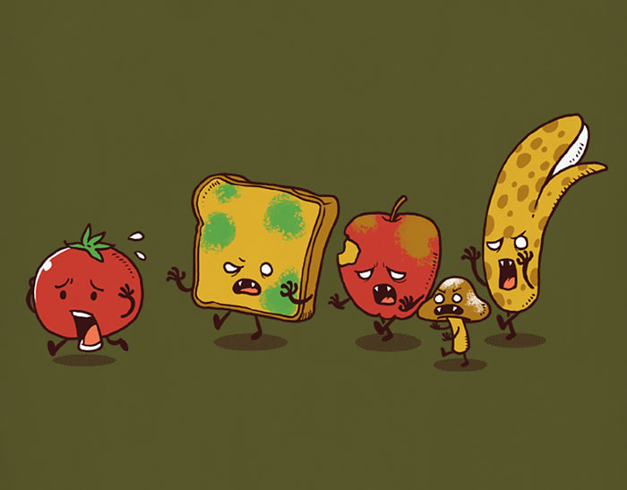 南瓜馬車(chē)吃掉了灰姑娘？當(dāng)流行文化碰上黑色幽默（組圖）