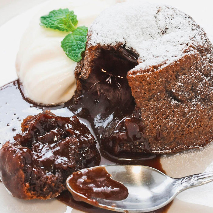 妙趣擋不?。“涯阕類鄣呢圥進(jìn)你最愛的美食（組圖）