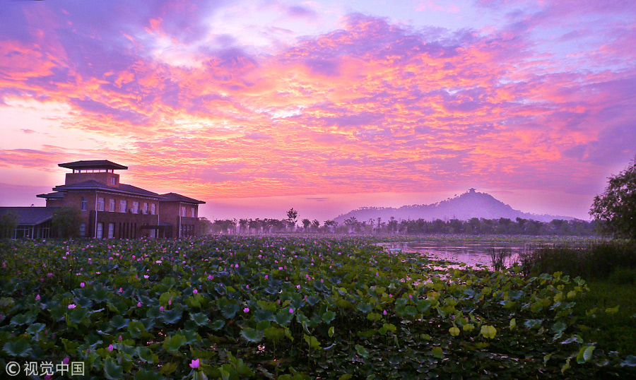一夜薰風(fēng)方覺夏深 古詩詞中尋夏日美景靜聽蟬鳴(組圖)