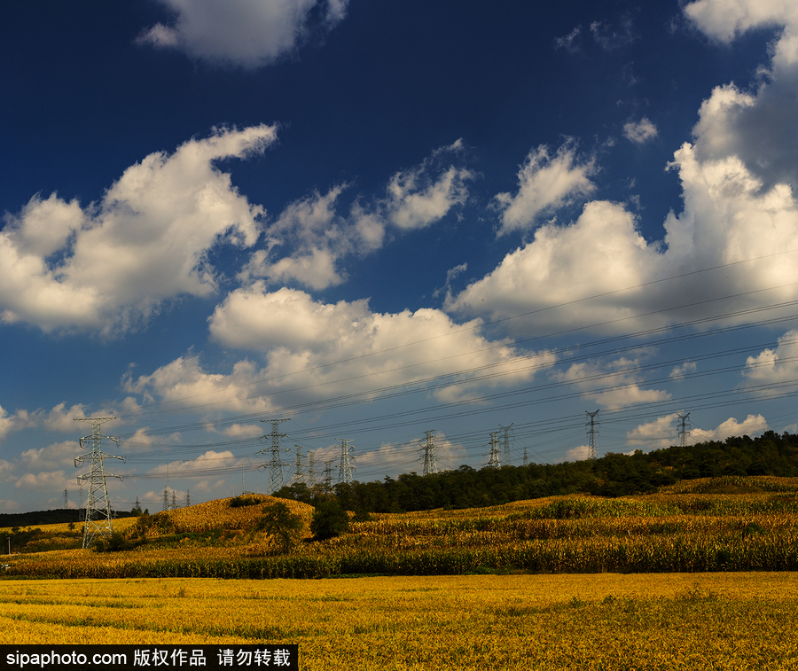 藍(lán)天白云刷屏！盤點(diǎn)風(fēng)清日朗的絕美風(fēng)光 為眼睛降溫