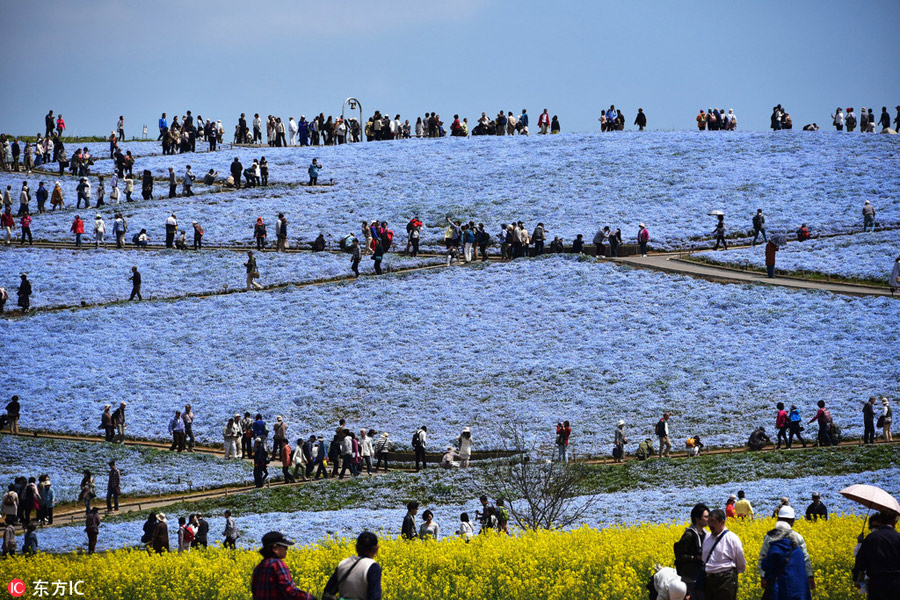 撲面而來的清涼！這個夏日來一場藍色主題旅行吧（組圖）