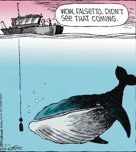 王寶強離婚，“萬萬沒想到”