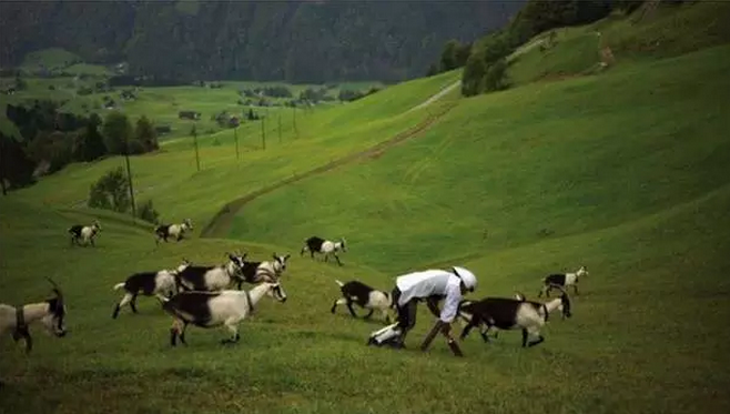 老鼠性生活、胯下看世界……今年的“搞笑諾獎”還是那股熟悉的奇葩味道