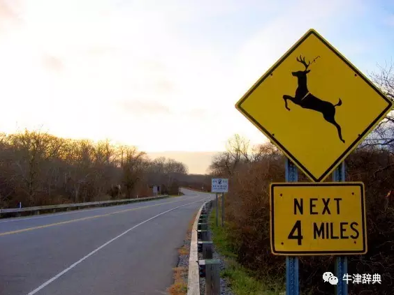 斑馬為何要過(guò)馬路？在美國(guó)和英國(guó)有關(guān)駕駛的語(yǔ)言