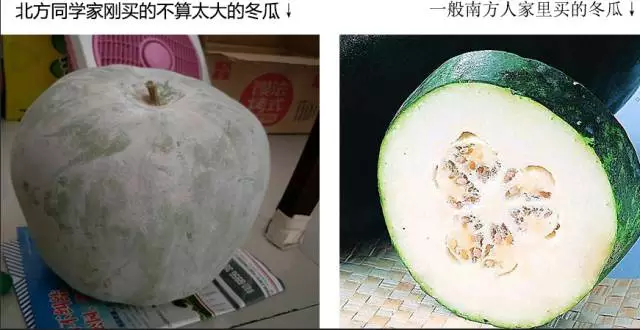 “南北差異”大討論：南方買菜買一頓，北方買菜買一噸？