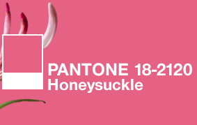 搶先看！2018年度色彩如此神秘又高科技