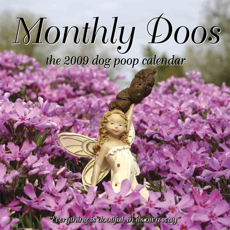 美國(guó)：2008年度十大最愚蠢圣誕禮物出爐